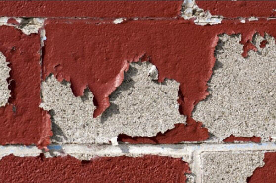 Professional Painters in Edmonton